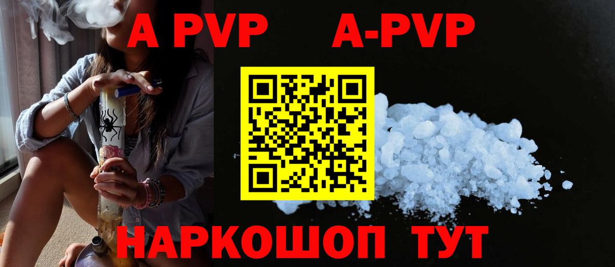 Выборг  Альфа ПВП СК  Вход с VPN 