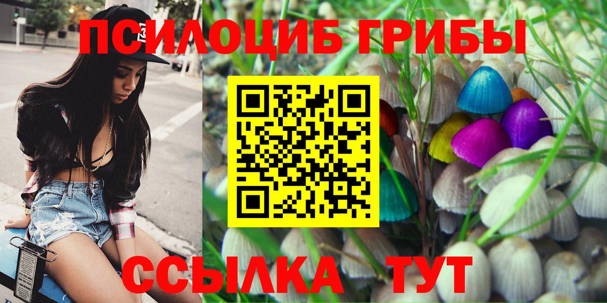 Выборг  Галлюциногенные грибы мухоморы  Галлюциногенные грибы GOLDEN TEACHER  Вход с VPN 