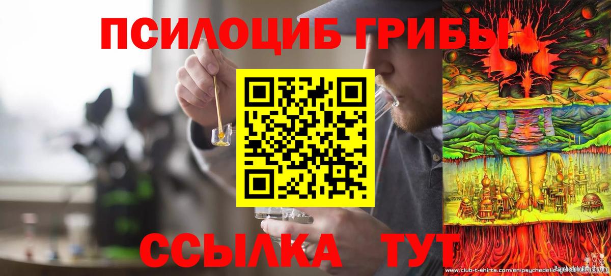 Псилоцибиновые грибы Magic Shrooms Выборг